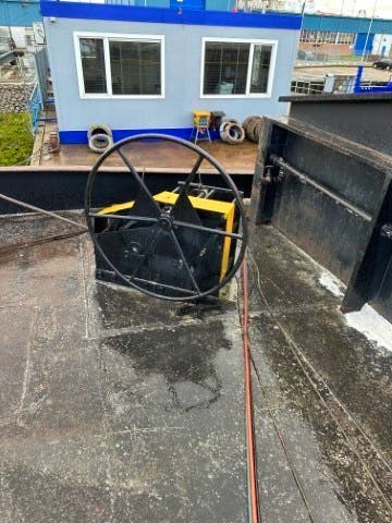 Walrus — thumbnail 5